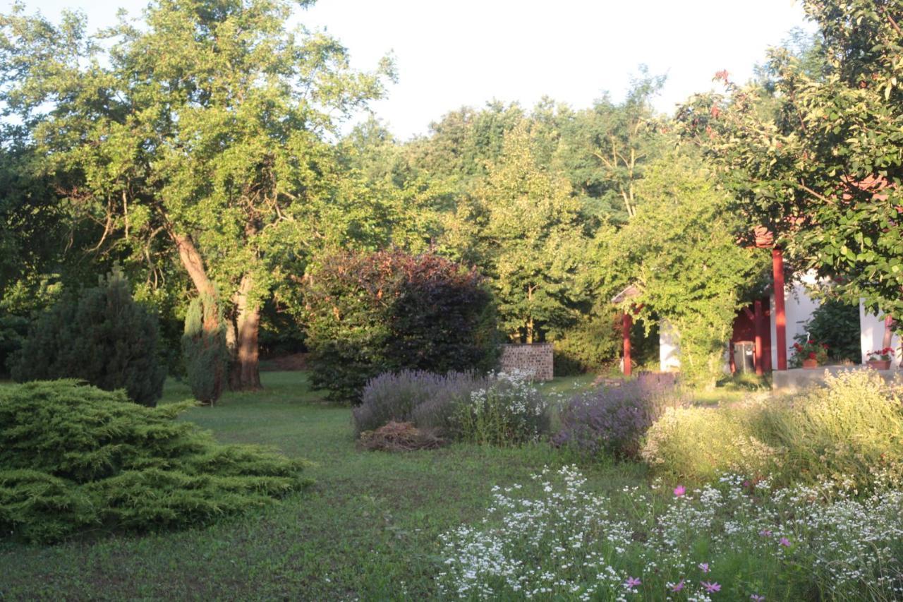 Nagymajor Birding Lodge Tiszacsege Kültér fotó